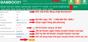 Hướng Dẫn Nạp Tiền BamBoo21 Mới Nhất