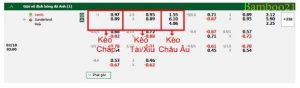 Kèo chấp: Leeds chấp 1