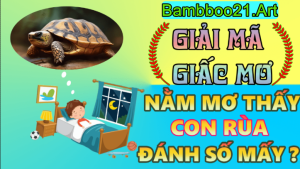 Mơ Thấy Con Rùa – Giải Mã Giắc Mơ BamBoo21