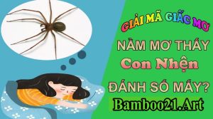 Mơ Thấy Con Nhện – Giải Mã Giắc Mơ Bamboo21