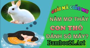Mơ Thấy Con Thỏ – Giải Mã Giắc Mơ Bamboo21