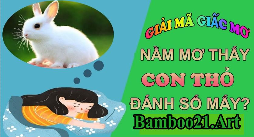 Mơ Thấy Con Thỏ – Giải Mã Giắc Mơ Bamboo21