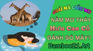 Chiêm Bao Giắc Mơ Thấy Hươu Cao Cổ