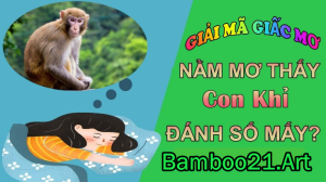 Chiêm Bao Ngũ Mơ Thấy Khỉ – Điềm Báo Gì?