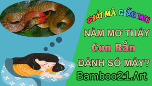 Chiêm Bao Nằm Mơ Thấy Rắn – Điềm Báo Gì?