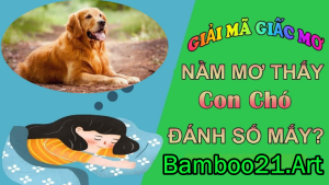 Chiêm Bao Mơ Thấy Con Chó – Điềm Báo Gì?