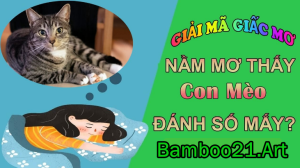 Giấc Mơ Thấy Con Mèo Điềm Báo Gì?