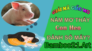 Giấc Mơ Thấy Con Heo Điềm Báo Gì?