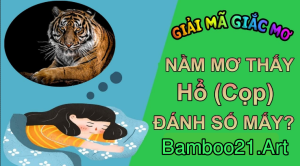 Mơ Thấy Con Hổ – Giải Mã Giắc Mơ Bamboo21