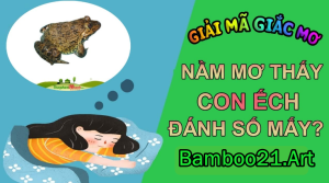 Mơ Thấy Con Ếch – Giải Mã Giắc Mơ Bamboo21