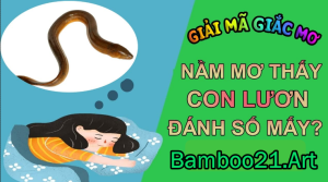 Mơ Thấy Con Lươn – Giải Mã Giắc Mơ Bamboo21