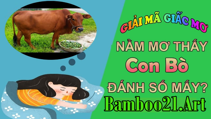 Mơ Thấy Con Bò – Giải Mã Giắc Mơ Bamboo21