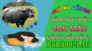 Mơ Thấy Con Trâu – Giải Mã Giắc Mơ Bamboo21