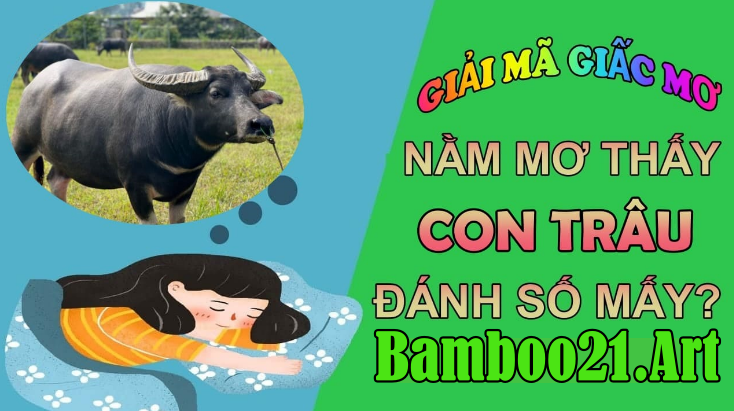 Mơ Thấy Con Trâu – Giải Mã Giắc Mơ Bamboo21