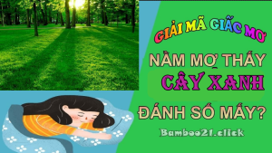 Giải mã giấc mơ thấy cây là điềm báo gì ?