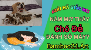 Mơ Thấy Chó Đẻ Đánh Số Mấy?