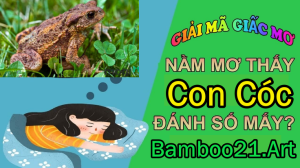 Mơ Thấy Con Cóc?
