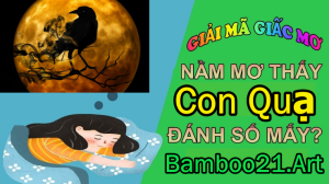 Mơ thấy quạ đen là điềm báo gì?