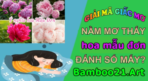 Mơ thấy hoa mẫu đơn