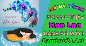  Mơ Thấy Hoa Lan