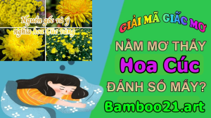 mơ thấy hoa cúc trắng