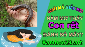 Giải mã giấc mơ thấy rết