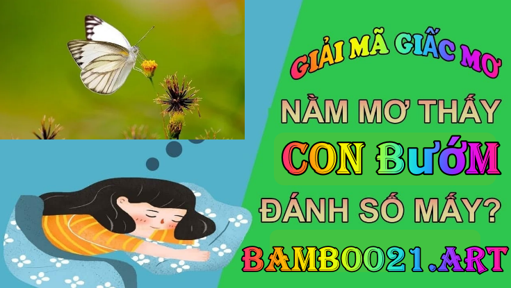 Mơ thấy bướm là điềm gì ?
