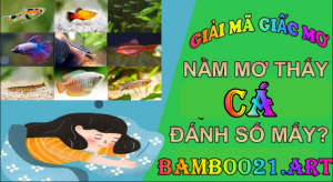 Nằm mơ thấy cá là điềm báo gì?